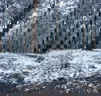 High Peaks Cottages - Accommodation Yamba