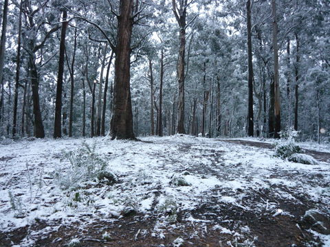 High Peaks Cottages - Accommodation Yamba 0