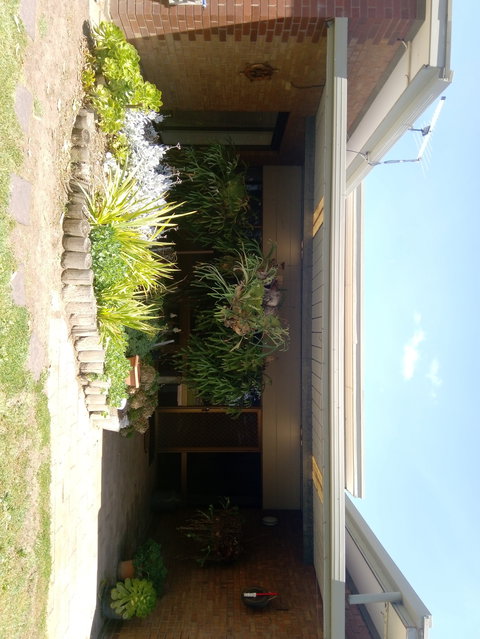 Hilltop Escape B&B - Accommodation Yamba 0