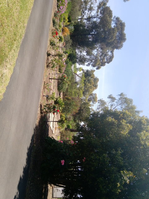 Hilltop Escape B&B - Accommodation Yamba 1