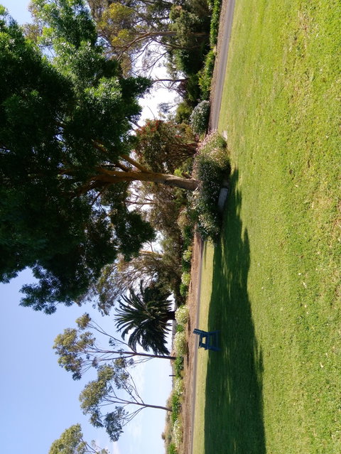 Hilltop Escape B&B - Accommodation Yamba 2