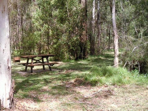 Mulloon Creek Campground - Accommodation Yamba 0