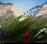 Sandstone Park Carnarvon Gorge - Accommodation Yamba