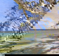 Shoal Cape Camp at Stokes National Park - Accommodation Yamba