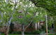 The Stone Cottage Beechworth - thumb 1