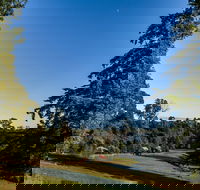 Tin Dragon Trail Cottages - Accommodation Yamba