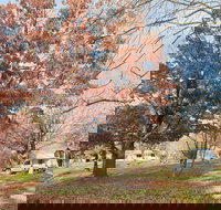 Tumbarumba Caravan Park - Accommodation Yamba