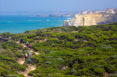Twelve Apostles Lodge Walk - Accommodation Yamba 0