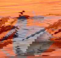 4 Pelican Court - River Shack Rentals - Accommodation Yamba