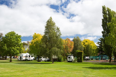 Armidale Tourist Park - Accommodation Yamba 0