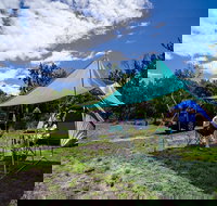 Banksia Green campground - Accommodation Yamba