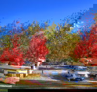 Beechworth Lake Sambell Caravan Park - Accommodation Yamba