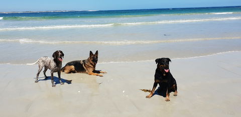 BIG4 Warrnambool Figtree Holiday Park - Accommodation Yamba 2