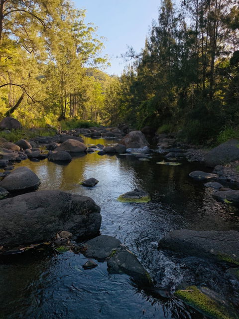 Cave Rock Cottages - Accommodation Yamba 0