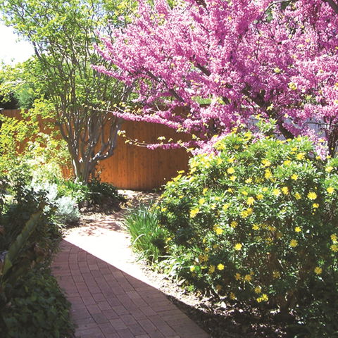 Country Gardens Motor Inn - Accommodation Yamba 1