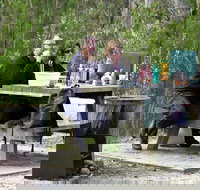 Cypress-pine campground - Accommodation Yamba