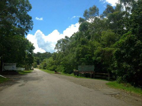Ferndale Caravan Park - Accommodation Yamba 1