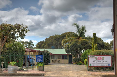 Ficifolia Lodge Kangaroo Island - Accommodation Yamba 1