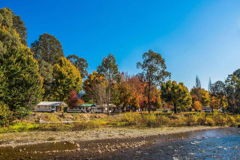 Porepunkah Bridge Holiday Park - Accommodation Yamba 1