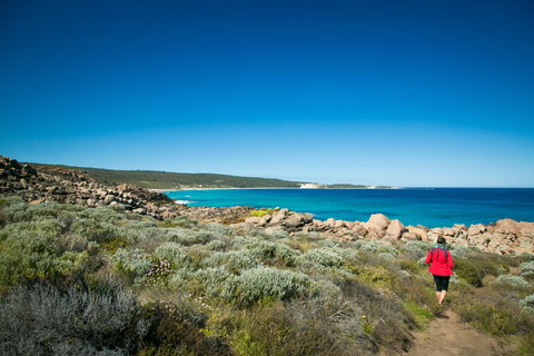 Wyadup Brook Cottages - Accommodation Yamba 0