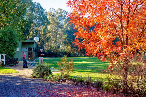 Airtree Golfers Resort - Accommodation Yamba 0