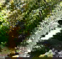 Aldgate Lodge Bed  Breakfast - Accommodation Yamba