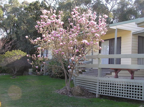 Annies Holiday Units - Accommodation Yamba 0