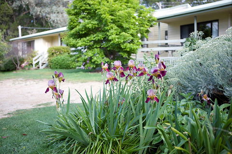 Annies Holiday Units - Accommodation Yamba 2
