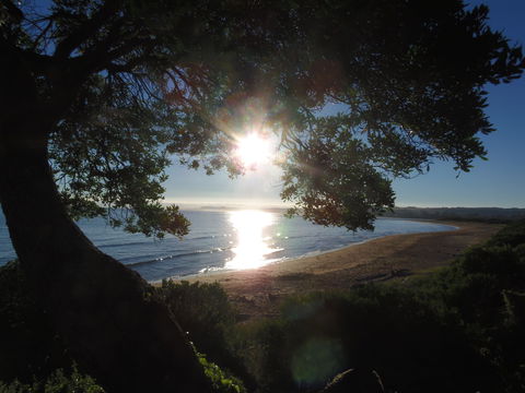 Apex Beachside Holiday Park - Accommodation Yamba 1