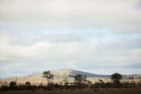 Aurelias Farm Bed And Breakfast - Accommodation Yamba 1
