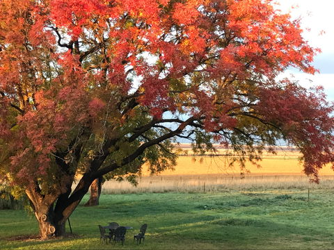 Little Kickabell Country Homestead - Accommodation Yamba 0