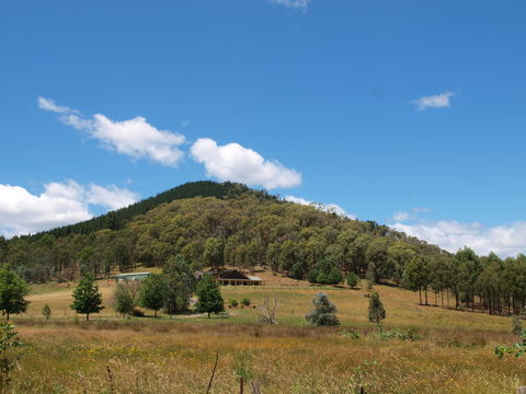 Mad On The Buckland - Accommodation Yamba 1