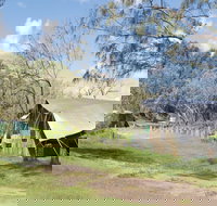 Pebbly Beach campground - Yuraygir National Park - Accommodation Yamba