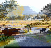 Tommerups Dairy Farmstay - Accommodation Yamba