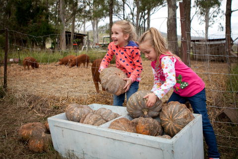 Tommerups Dairy Farmstay - Accommodation Yamba 2