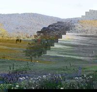 Wallaby Cottage - Accommodation Yamba