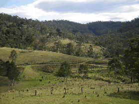 Yasuragi Cabins - Accommodation Yamba 0