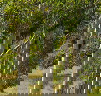 Stringybark Cottages - Accommodation Yamba