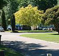 Mitchell Gardens Holiday Park - Accommodation Yamba
