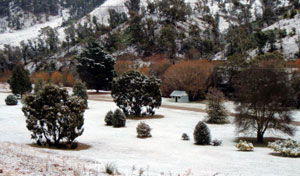 Omeo Caravan Park - Accommodation Yamba 1