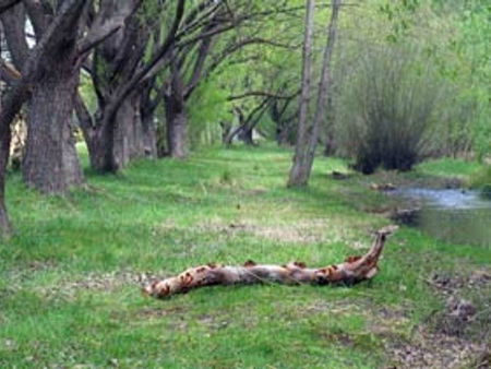 Omeo Caravan Park - Accommodation Yamba 3