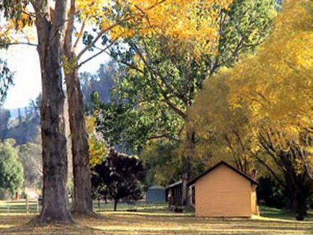 Omeo Caravan Park - Accommodation Yamba 4