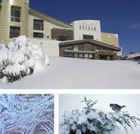 Chalet Hotham - Accommodation Yamba