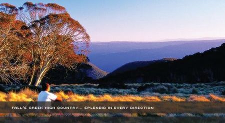 Alpine View Apartments - Accommodation Yamba 1