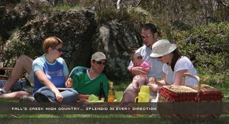 Alpine View Apartments - Accommodation Yamba 2