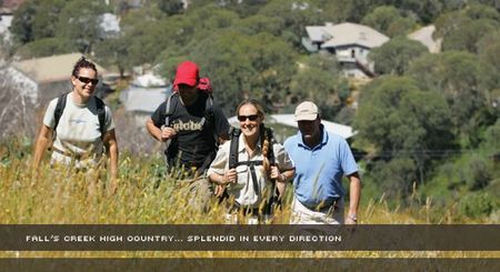 Alpine View Apartments - Accommodation Yamba 3