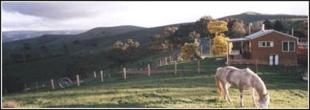 Idlewild Park Farm Accommodation - Accommodation Yamba 1