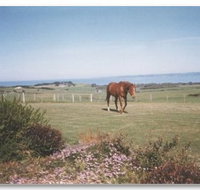 First Class Bed and Breakfast - Accommodation Yamba