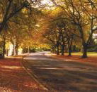 La Trobe at Beechworth - Accommodation Yamba