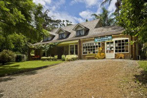 Curtis Falls Mountain Retreat - Accommodation Yamba 0